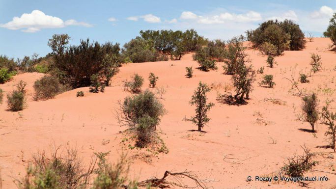 Orange sand Ischigualasto, Valle de la Luna - Argentina