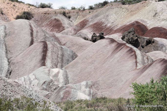 Loberias, Ischigualasto, Valle de la Luna - Argentina
