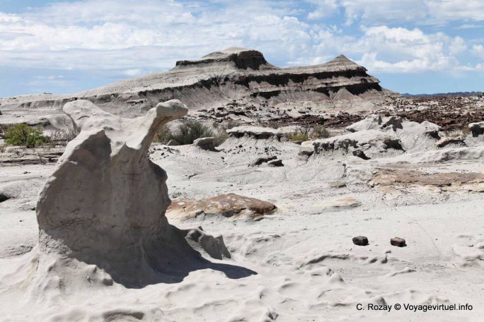 Fossilized wood Ischigualasto, Valley of the Moon - Argentina