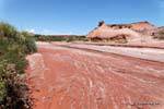 Salt in the river bed, Ischigualasto, Valley of the Moon, Argentina.