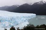 Language south dipping into the Lago Argentino, Perito Moreno Glacier, El Calafate, Argentina.