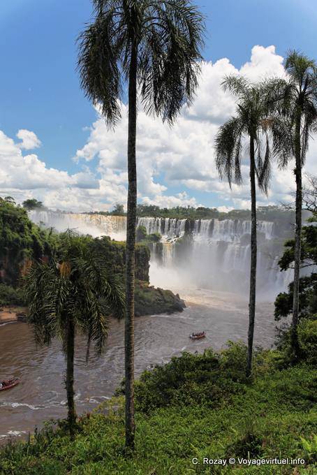 Palm trees on the lower circuit, Puerto Iguazu Cataratas - Argentina