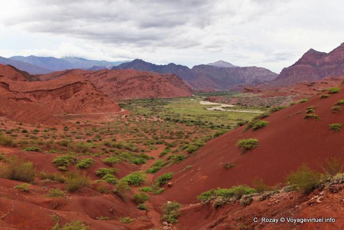 The green valley of the Rio de las conchas, Quebrada de las Conchas - Argentina