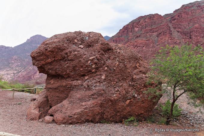 El Sapo Quebrada de las Conchas - Argentina