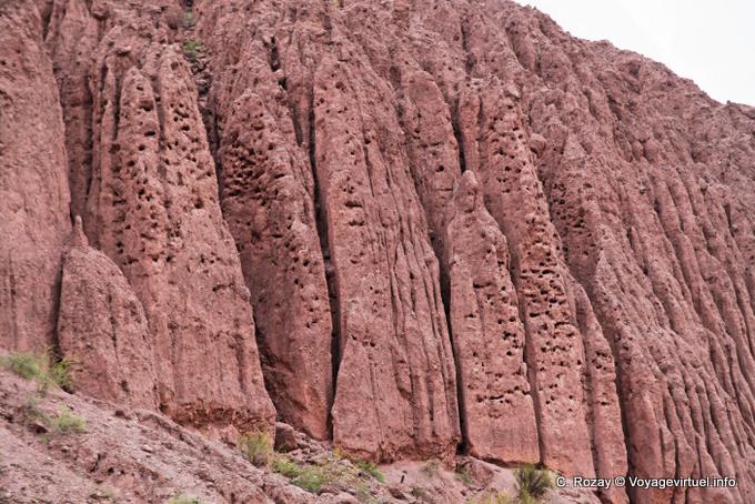 Focus on Casa de Loros, Quebrada de las Conchas - Argentina