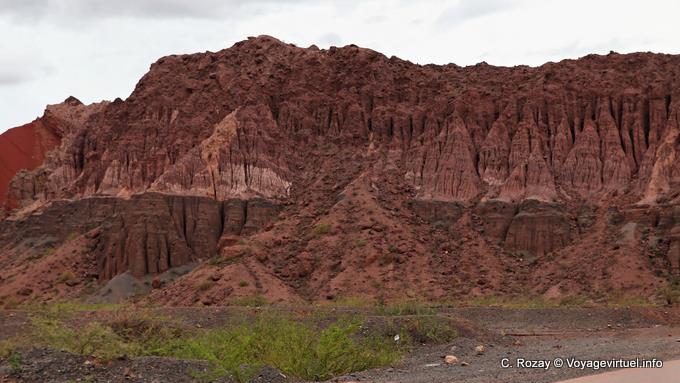 The cliff of the house parrots (casa de loros) Quebrada de las Conchas - Argentina