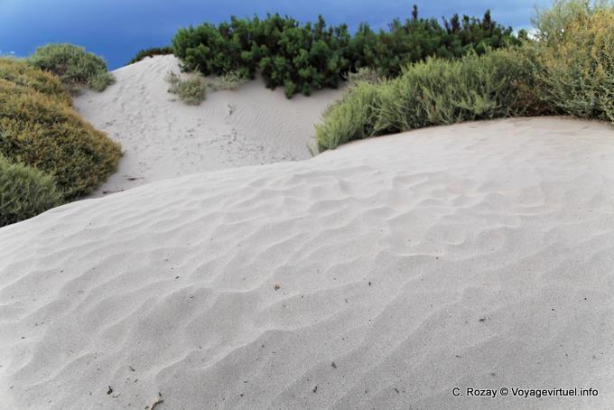 White sand before reaching Cafayate, Quebrada de las Conchas - Argentina