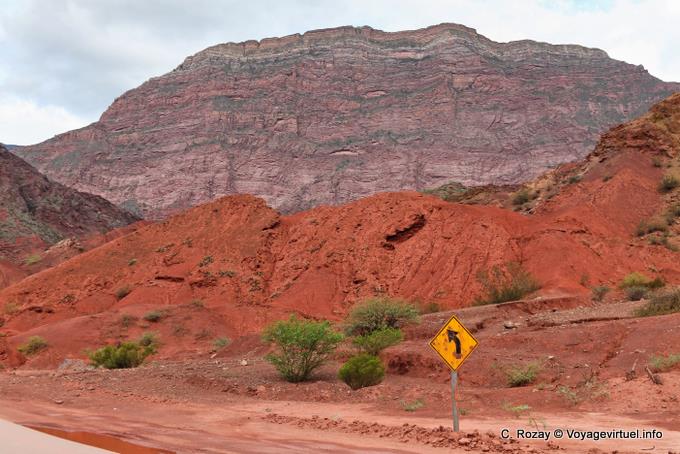 Red earth and rock rose, Quebrada de las Conchas - Argentina