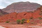 Red earth and rock rose, Quebrada de las Conchas, Argentina.