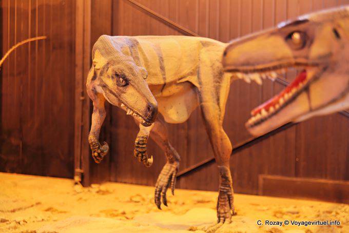 Dinosaur Reproduction Ciencias Naturales Museo, Ischigualasto - Argentina