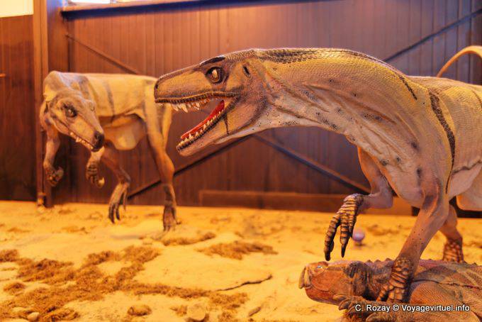 Fight dinosaurs, science museum, Ischigualasto - Argentina