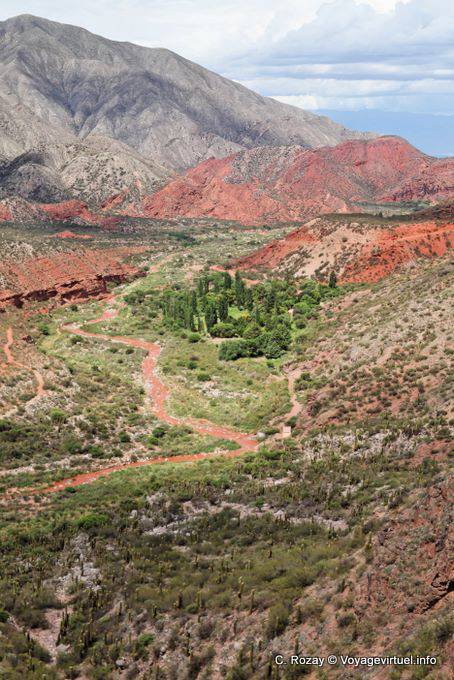 Green oasis, Cuesta Miranda, Ruta 40 between Villa Union and Chilecito - Argentina