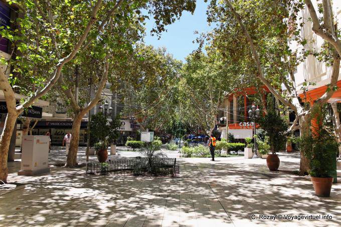 Square in downtown San Juan - Argentina