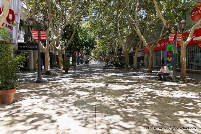 Tree-lined pedestrian street, San Juan - Argentina