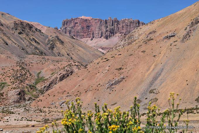 Red and yellow flowers Cliffs, Ruta 7 of Mendoza in Chile - Argentina