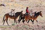 Cavalier with his horses, Ruta 7 Los Penitentes, Argentina.