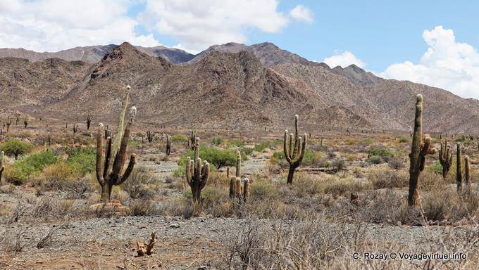 Ruta 40 between Molinos and Seclantas - Argentina