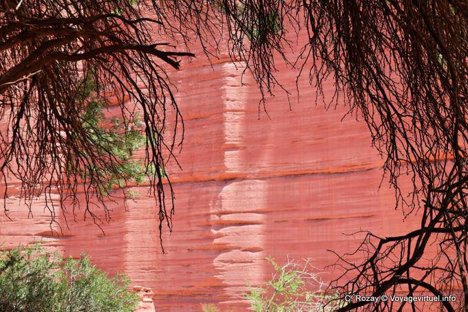 View from the botanic garden, Talampaya - Argentina