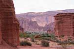 At the heart of the dry canyon of the Río Talampaya, Argentina.