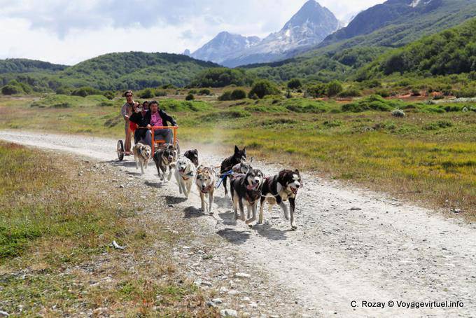 Dogs pulling a wheeled sled, Ushuaia - Argentina