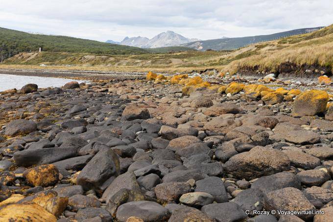 Rocky beach at Bahia Brown, Ushuaia - Argentina