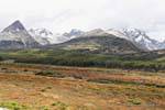 Heath, forest and mountains, Ushuaia, Argentina.