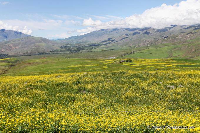 View from Pinar de los Cervios, Tafi del Valle, Ruta 307 - Argentina