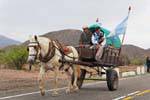 Two-wheeled cart, Ruta 40 after Chilecito, Argentina.