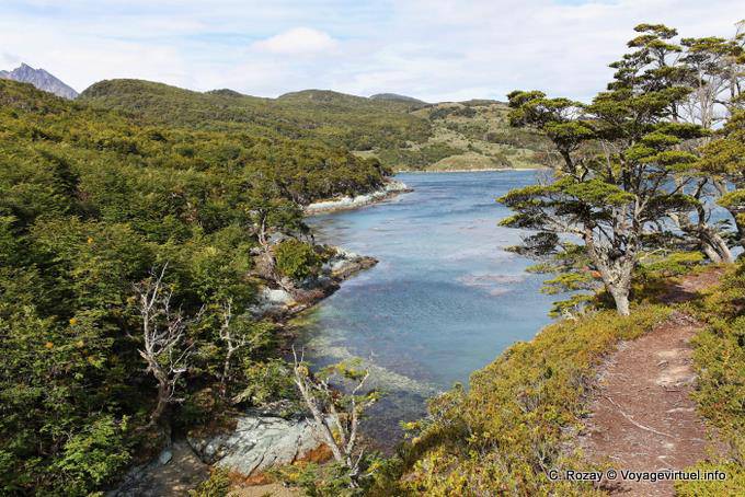 on the path between Bahia Ensenada and Lapataia, Parque Nacional Tierra del Fuego, Ushuaia - Argentina