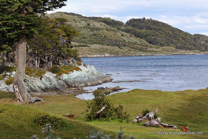 Patagonian landscape from the coast of Bahia Ensenada, Parque Nacional Tierra del Fuego, Ushuaia - Argentina