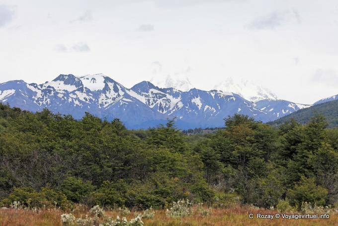 Fuegian landscape, Bahia Lapataia, Parque Nacional Tierra del Fuego, Ushuaia - Argentina