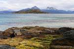 Isla Redonda, Parque Nacional Tierra del Fuego, Ushuaia, Argentina.