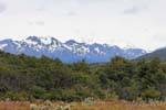 Fuegian landscape, Bahia Lapataia, Parque Nacional Tierra del Fuego, Ushuaia, Argentina.