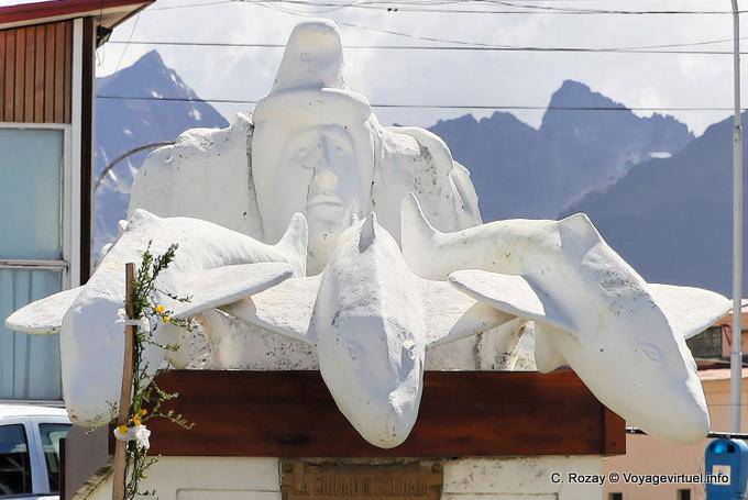 Head dolphins, Ushuaia - Argentina