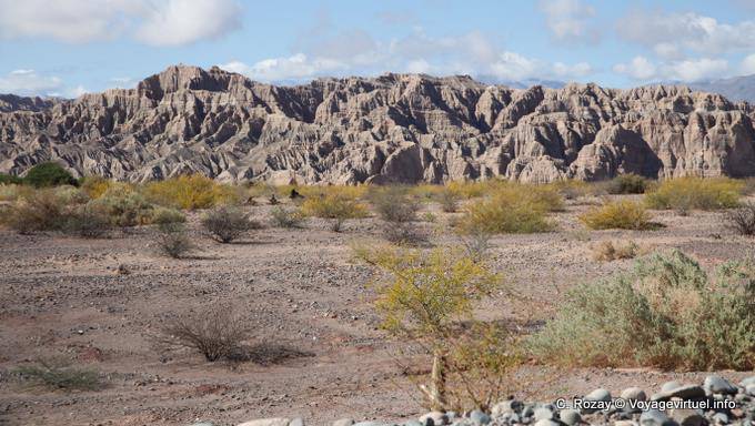 Nature tormented valley Calchaquies, Ruta 40 - Argentina