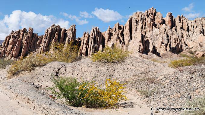 Natural Monument to the Quebrada de las Flechas, Angastaco Valley Calchaquies, Ruta 40 - Argentina