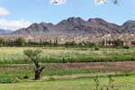 Beautiful landscape to Payogastilla Valley Calchaquies, Ruta 40, Argentina.
