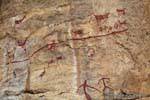 Herd and other animals on andesite rock painting Tehuelche, Walichu, Argentina.