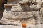 Indian brand Tehuelche rock paintings, Walichu, Argentina.
