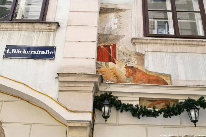 Backerstrasse, Taurus eyeglasses - Vienna - Austria