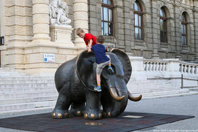 Naturhistoriches Museum, climb on elephant - Vienna - Austria