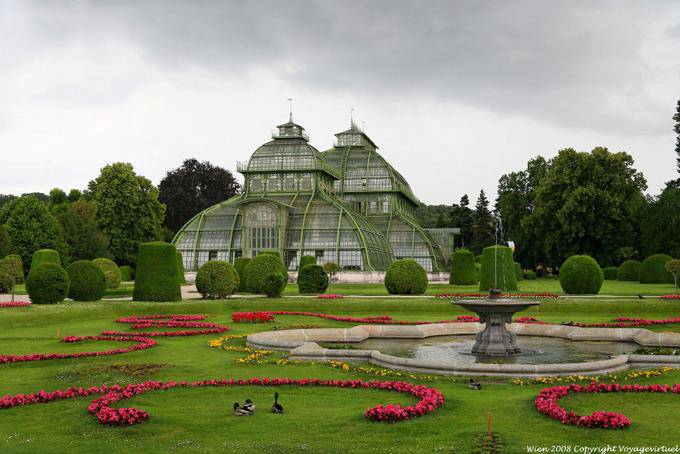 Topiary, fountain and Palm House, Schönbrunn Palmenhaus - Vienna - Austria