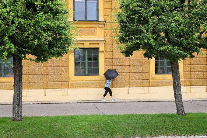 Schönbrunn, under the umbrella - Vienna - Austria