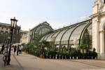 In der Burg, Schmetterlingshaus greenhouses, Vienna - Austria.