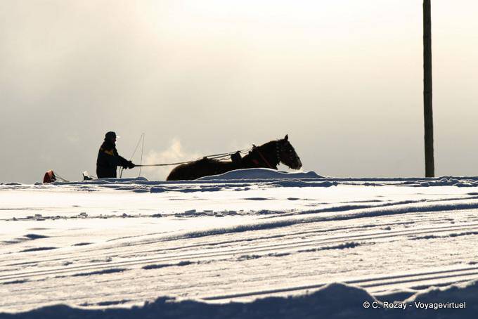 Birth, appearance horses, Avoriaz - Alps, France