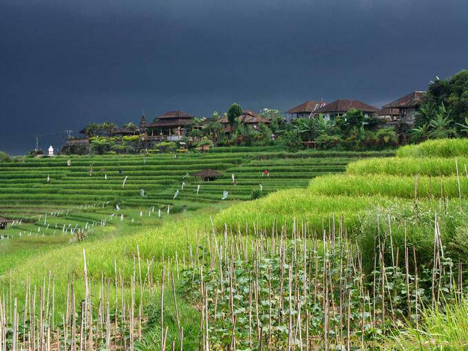 Culture and village Gunungsari - Bali