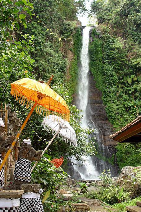 Vue sur la cascade Git Git Bali 