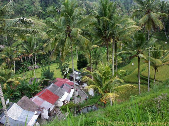 Top view of Gunung Kawi - Bali