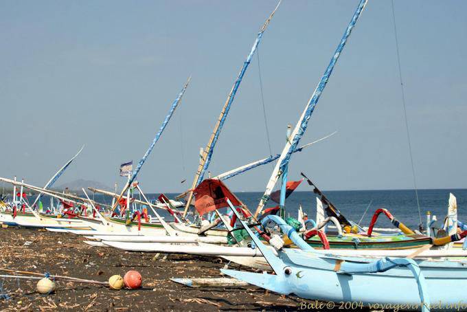 Flotilla of canoes Kusamba - Bali