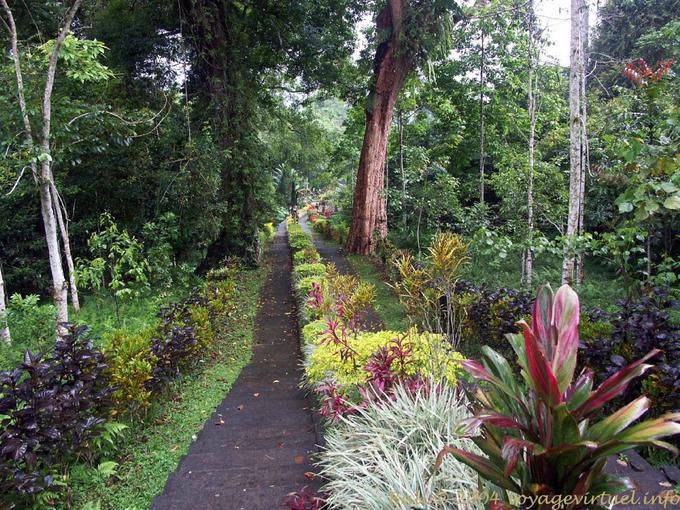 In the garden, Luhur Batukaru. - Bali